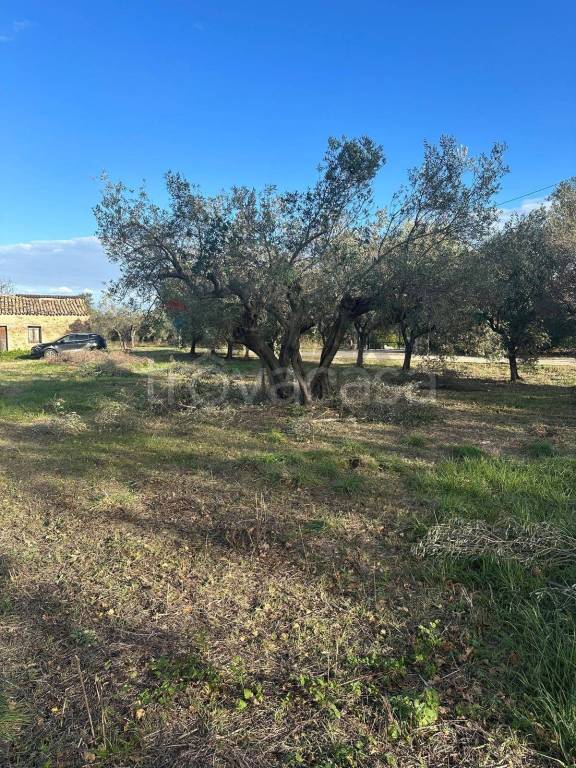 immagine annuncio 3 di 4