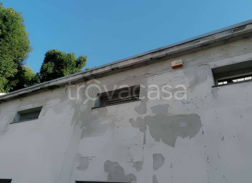 immagine annuncio 1 di 6