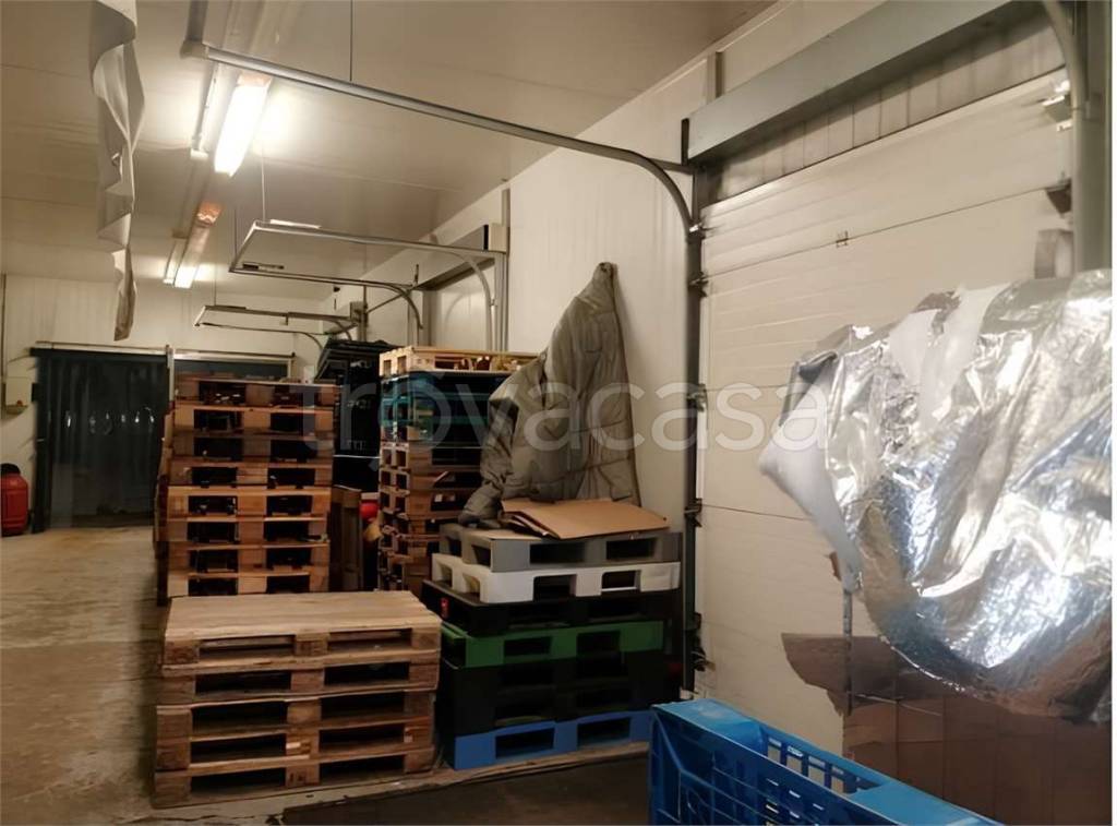 immagine annuncio 3 di 6