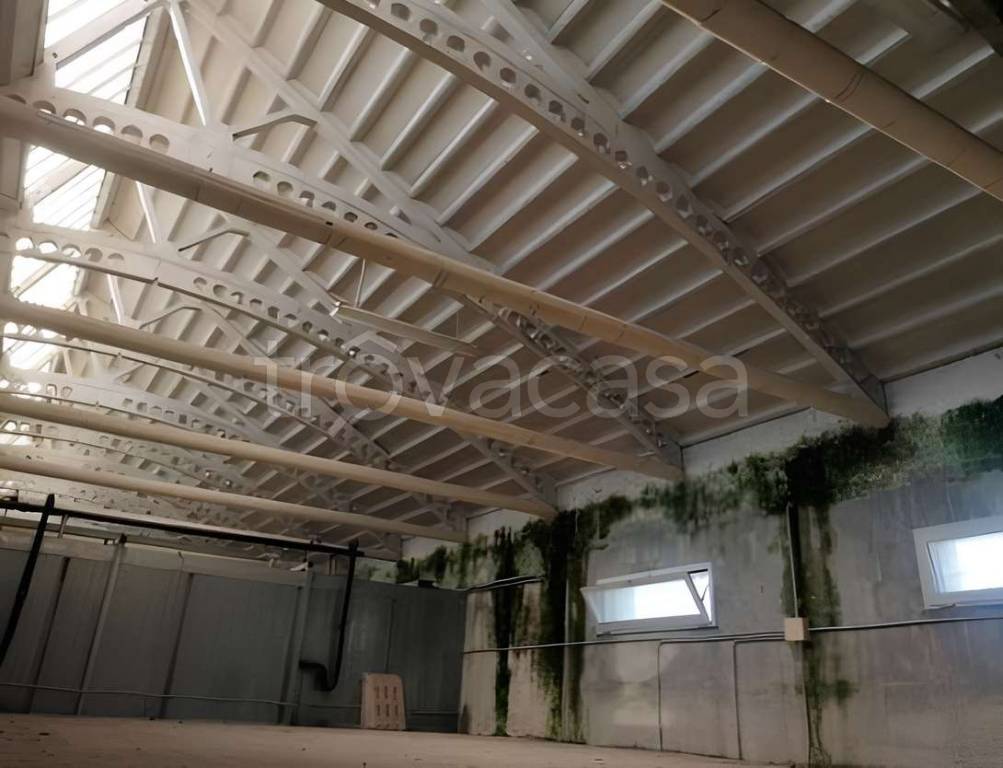 immagine annuncio 5 di 6