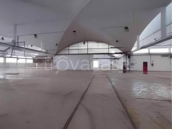 immagine annuncio 4 di 9