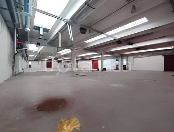 immagine annuncio 5 di 9