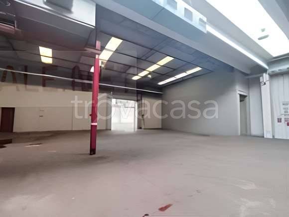 immagine annuncio 6 di 9