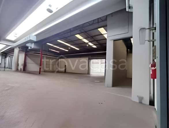 immagine annuncio 7 di 9