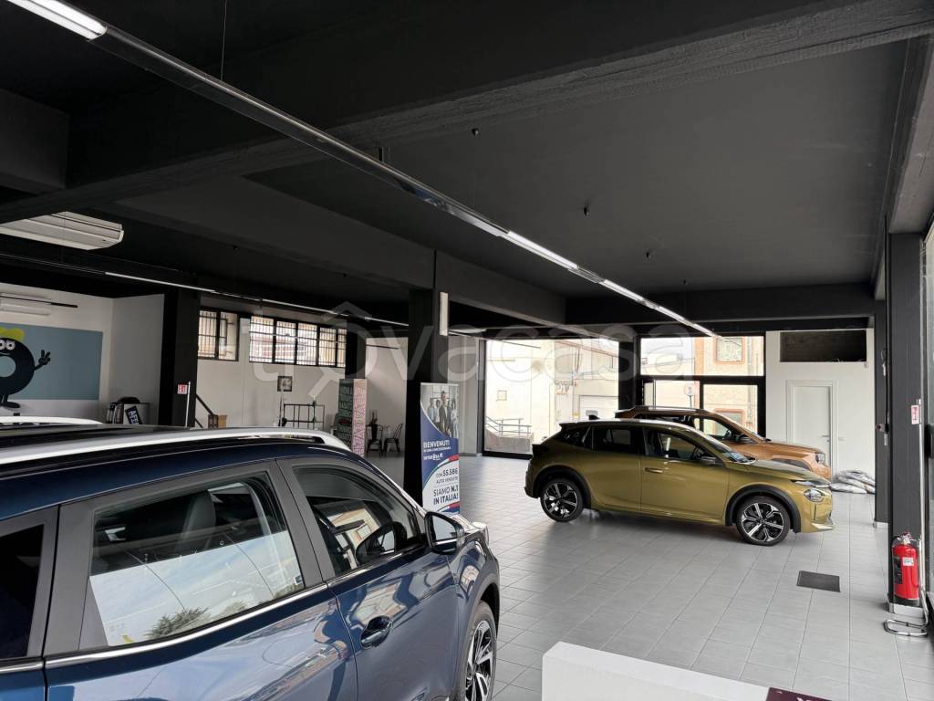 immagine annuncio 6 di 14