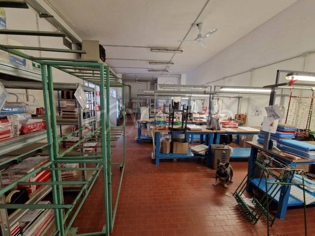 immagine annuncio 7 di 15