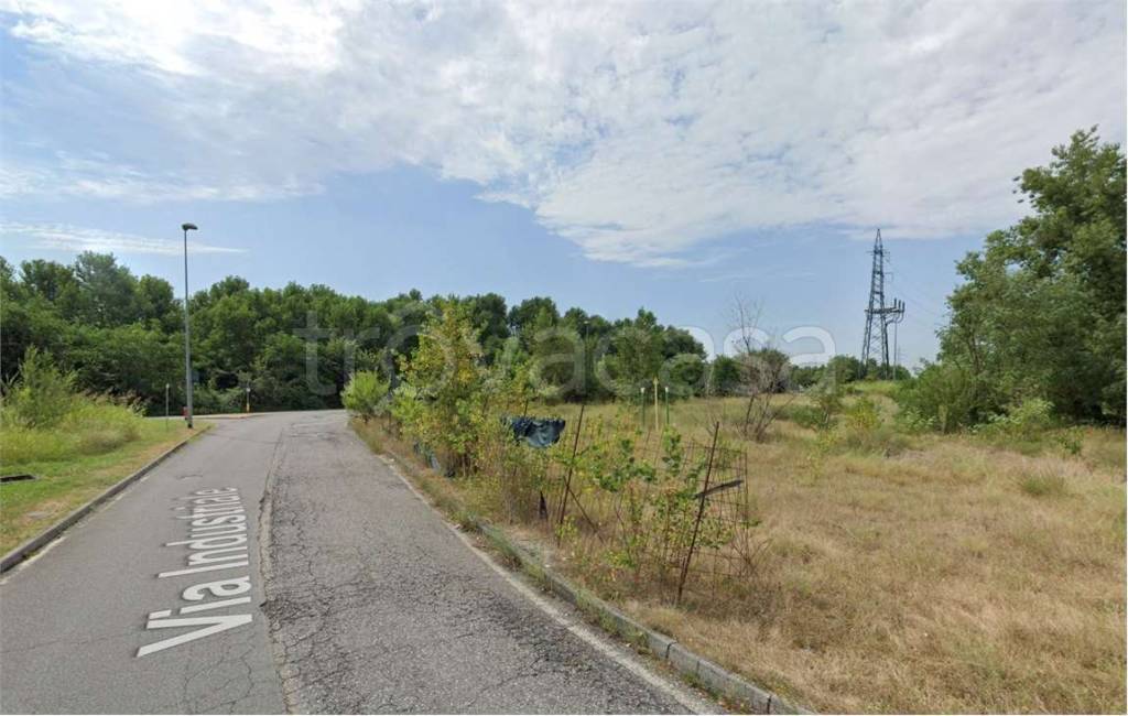 immagine annuncio 4 di 15