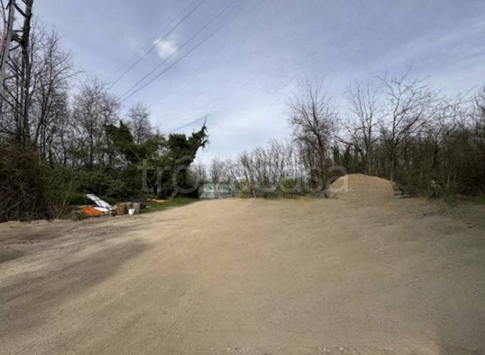 immagine annuncio 3 di 14