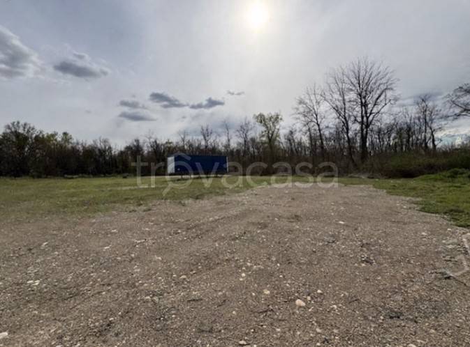 immagine annuncio 4 di 14