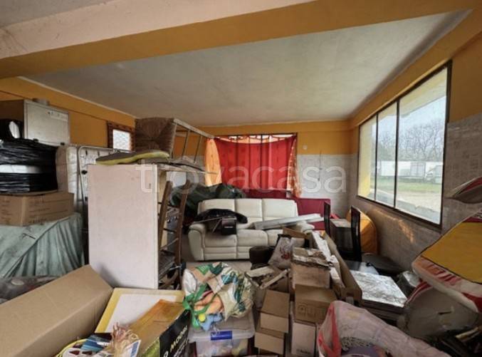 immagine annuncio 7 di 14