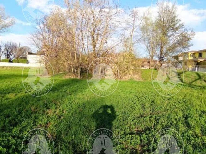 immagine annuncio 5 di 13