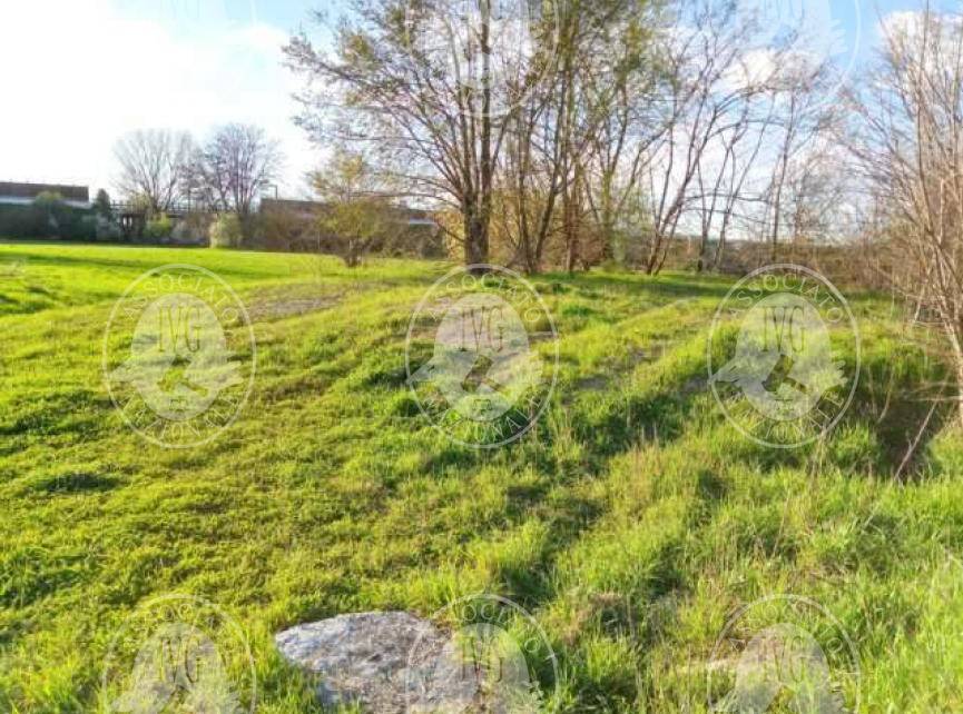 immagine annuncio 6 di 13