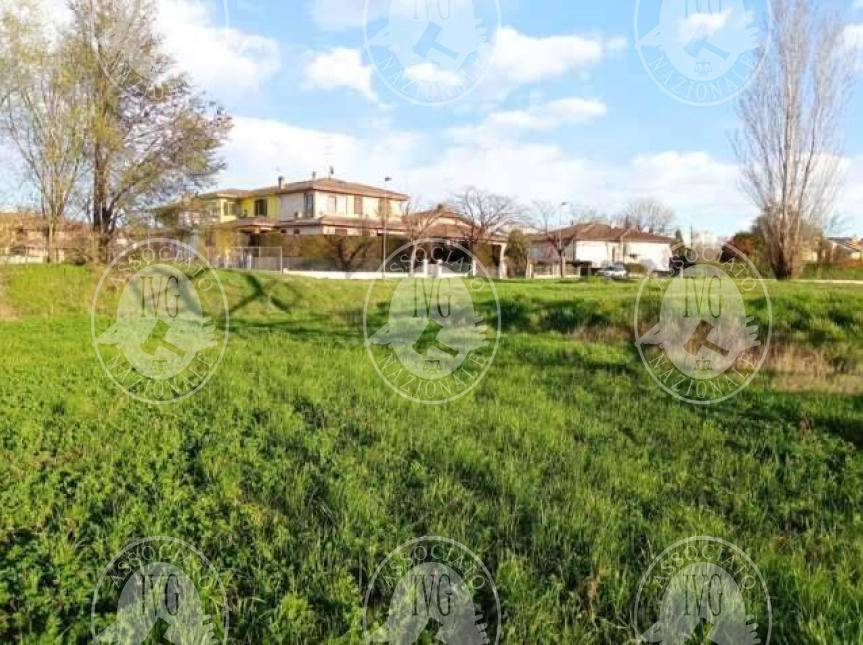 immagine annuncio 7 di 13