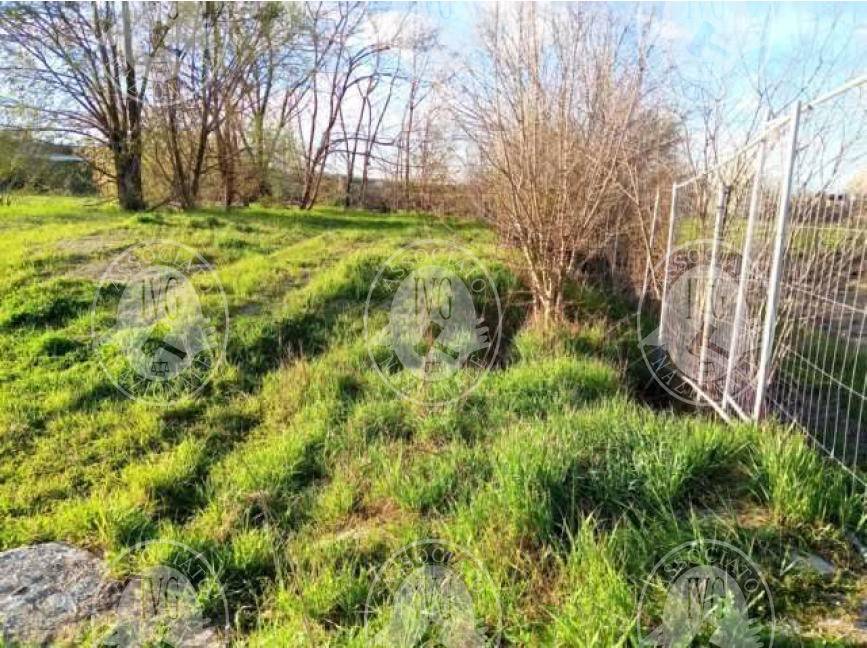 immagine annuncio 8 di 13