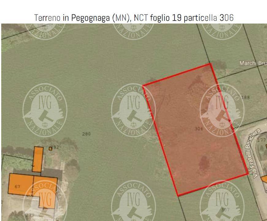 immagine annuncio 9 di 13