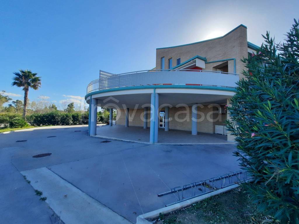 immagine annuncio 12 di 14