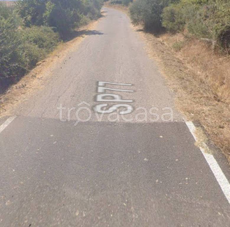 immagine annuncio 9 di 12