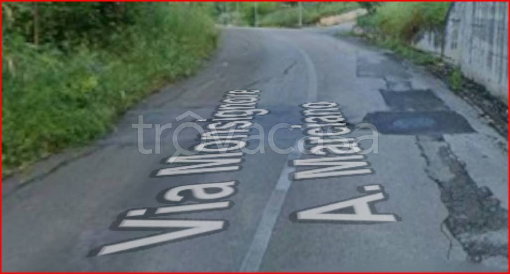 immagine annuncio 3 di 12