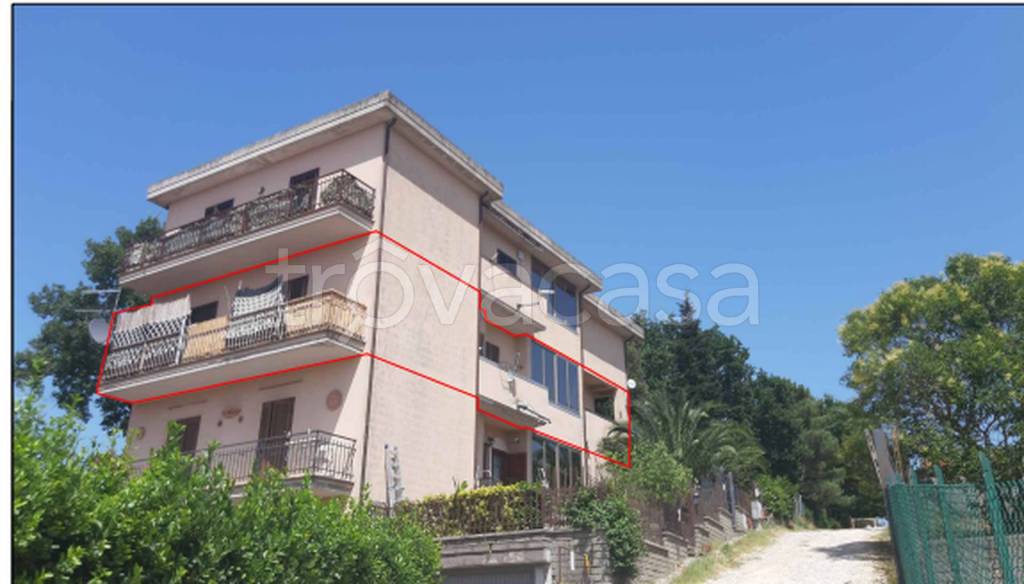 immagine annuncio 2 di 12