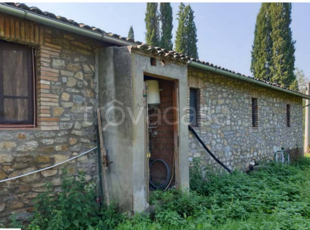 immagine annuncio 7 di 14