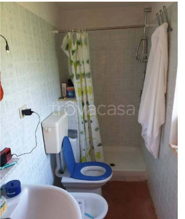 immagine annuncio 9 di 14