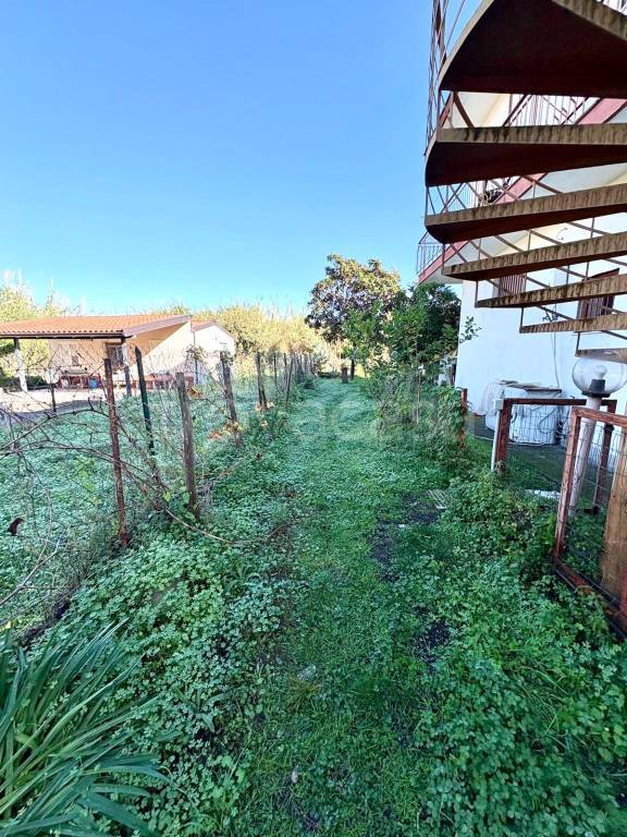 immagine annuncio 2 di 8