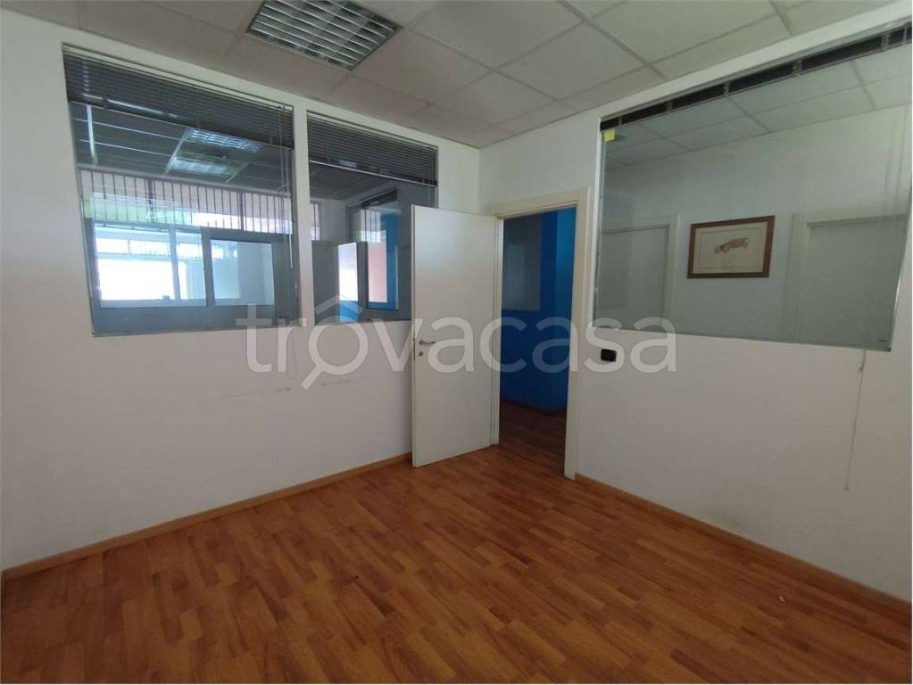 immagine annuncio 6 di 12