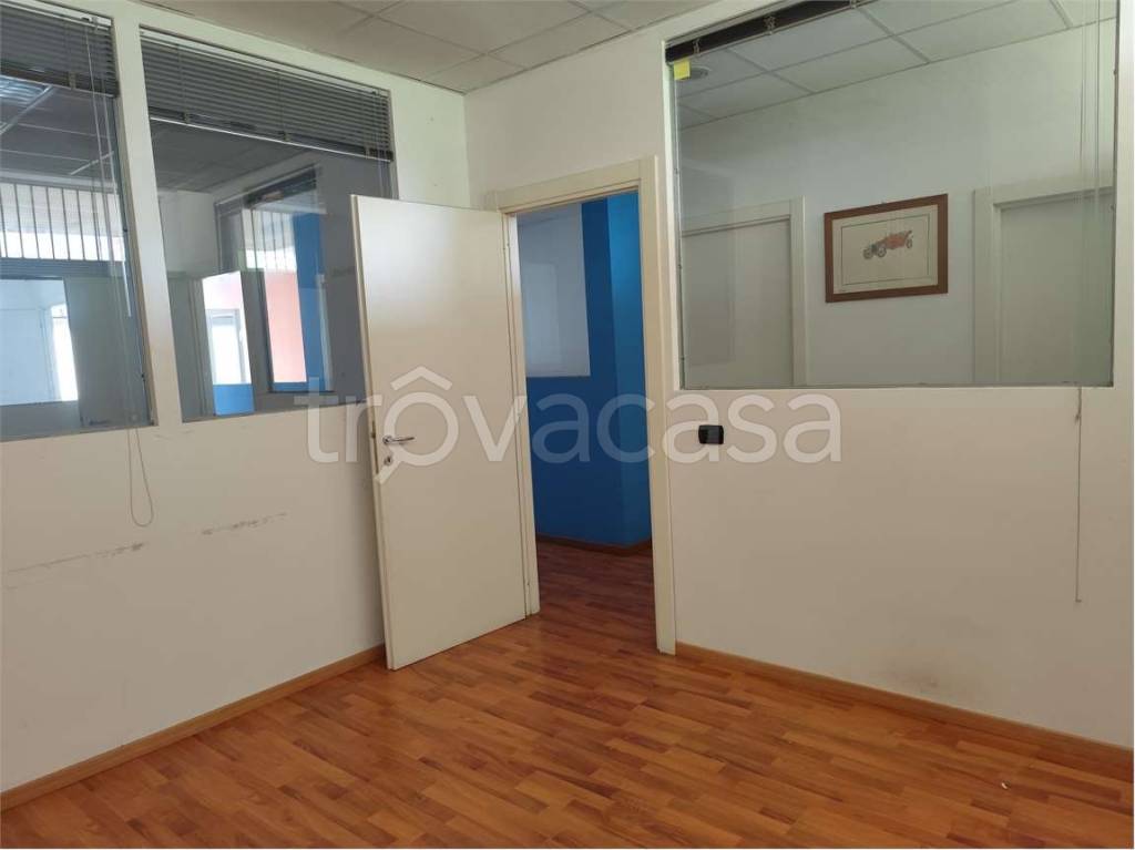 immagine annuncio 9 di 12