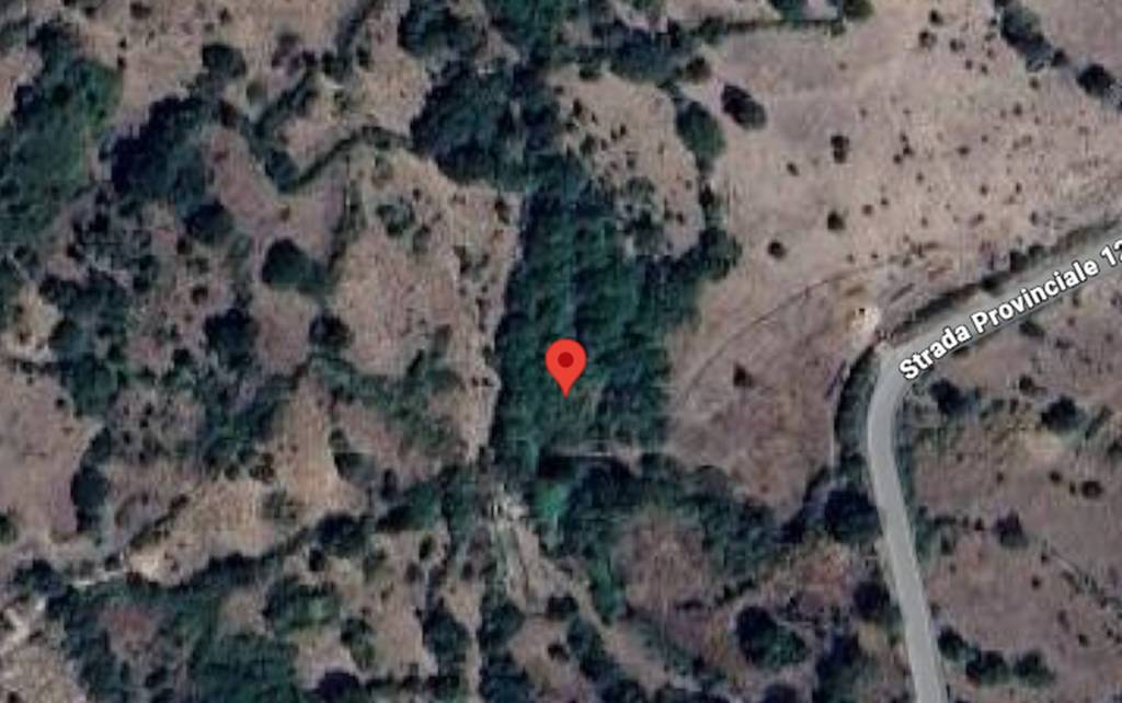 immagine annuncio 3 di 11