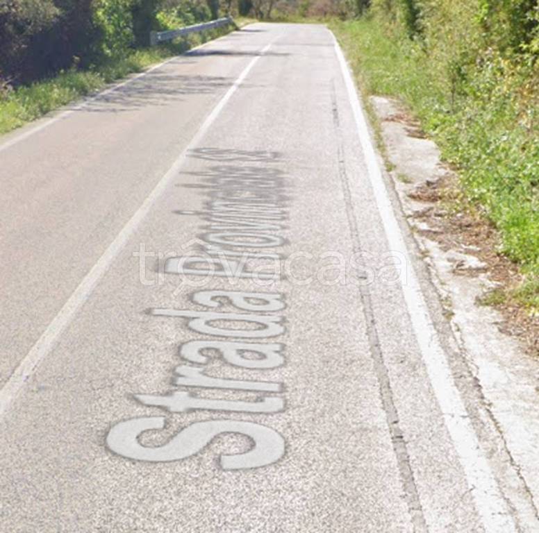 immagine annuncio 9 di 11