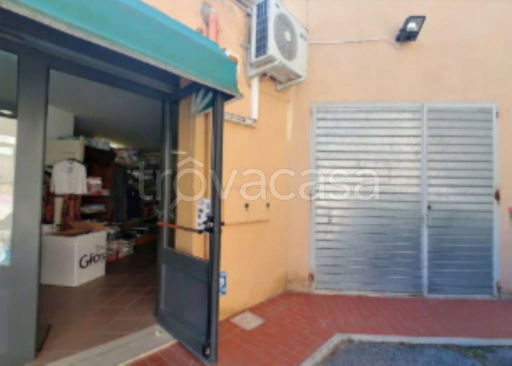 immagine annuncio 2 di 11