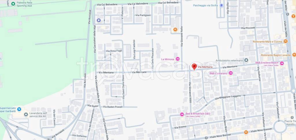 immagine annuncio 12 di 13