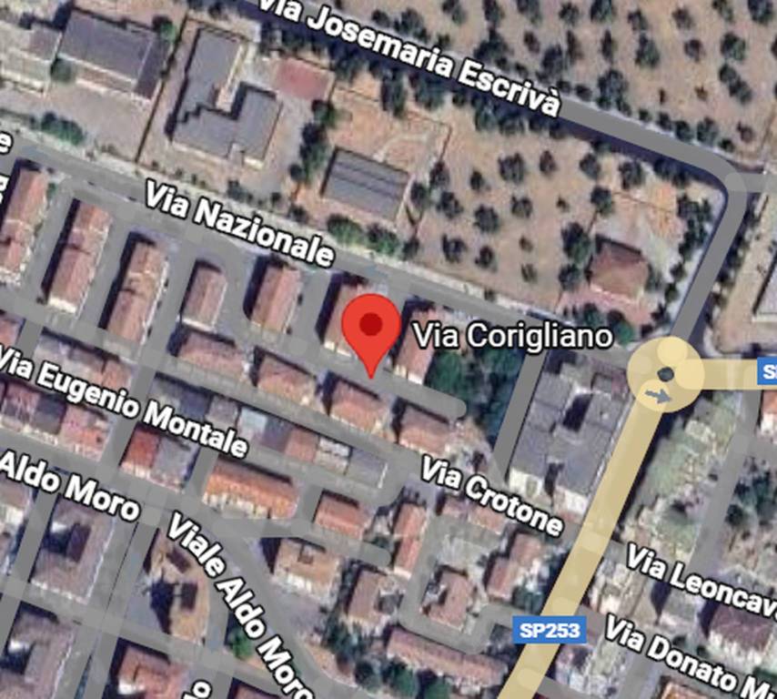 immagine annuncio 4 di 12