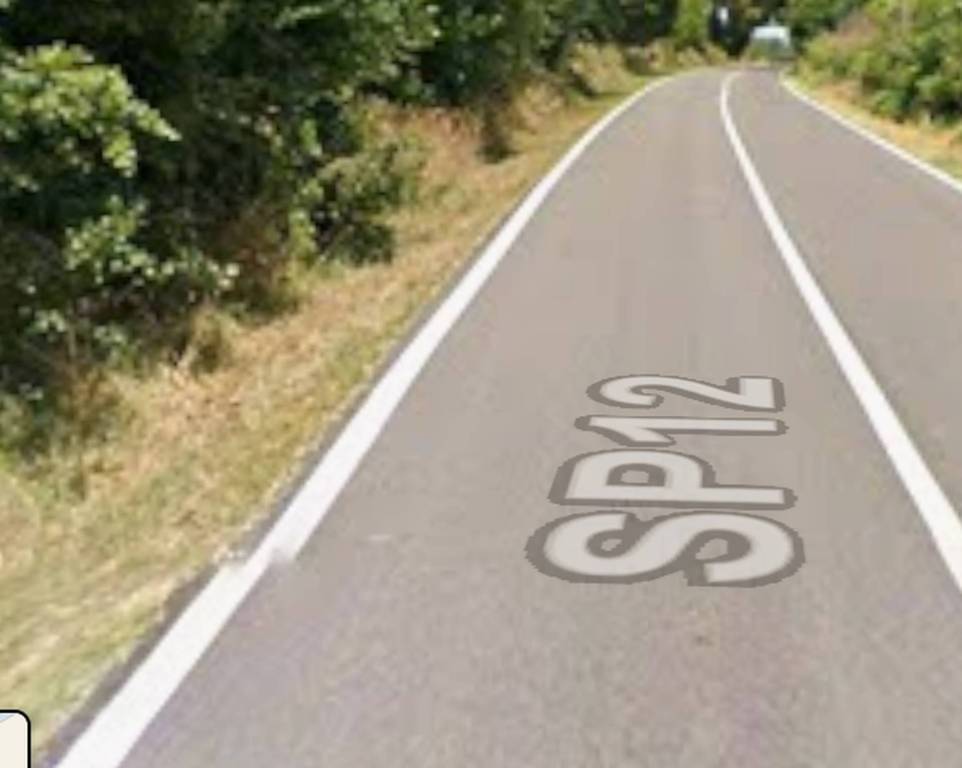 immagine annuncio 3 di 11