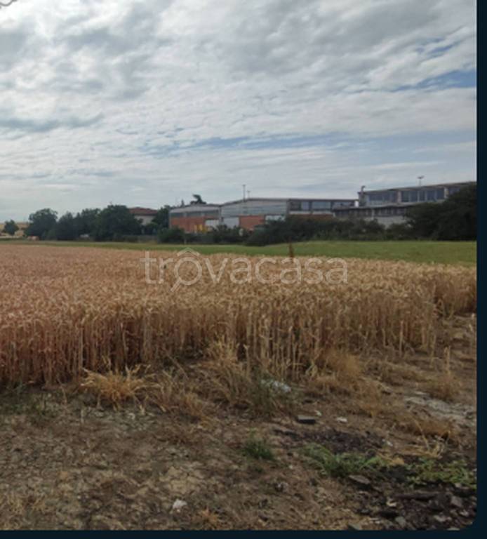 immagine annuncio 4 di 9