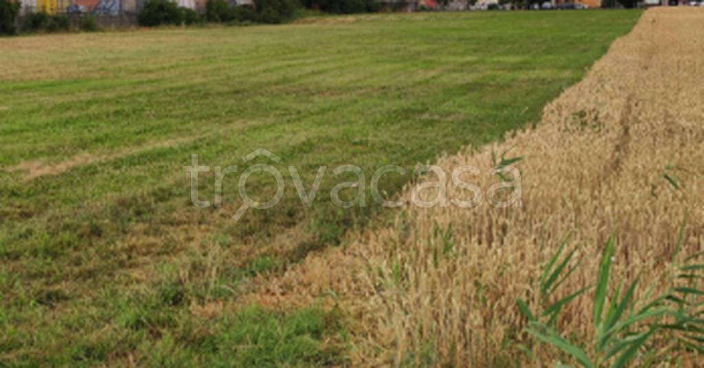 immagine annuncio 6 di 9