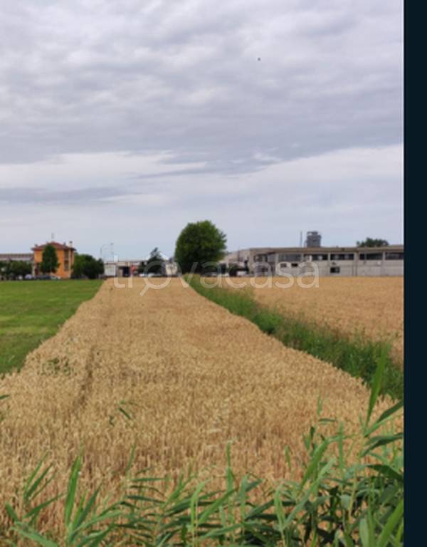 immagine annuncio 7 di 9