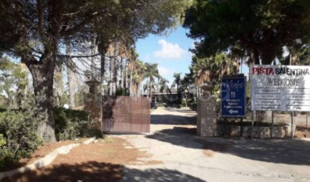 immagine annuncio 2 di 13