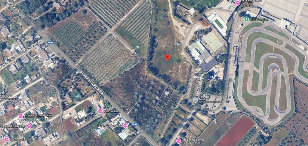 immagine annuncio 10 di 13