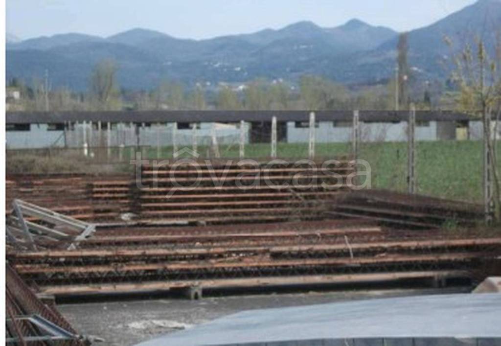 immagine annuncio 4 di 13