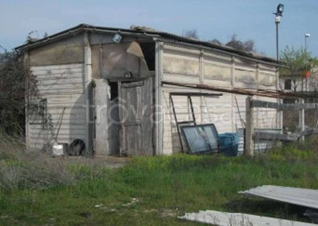 immagine annuncio 7 di 13