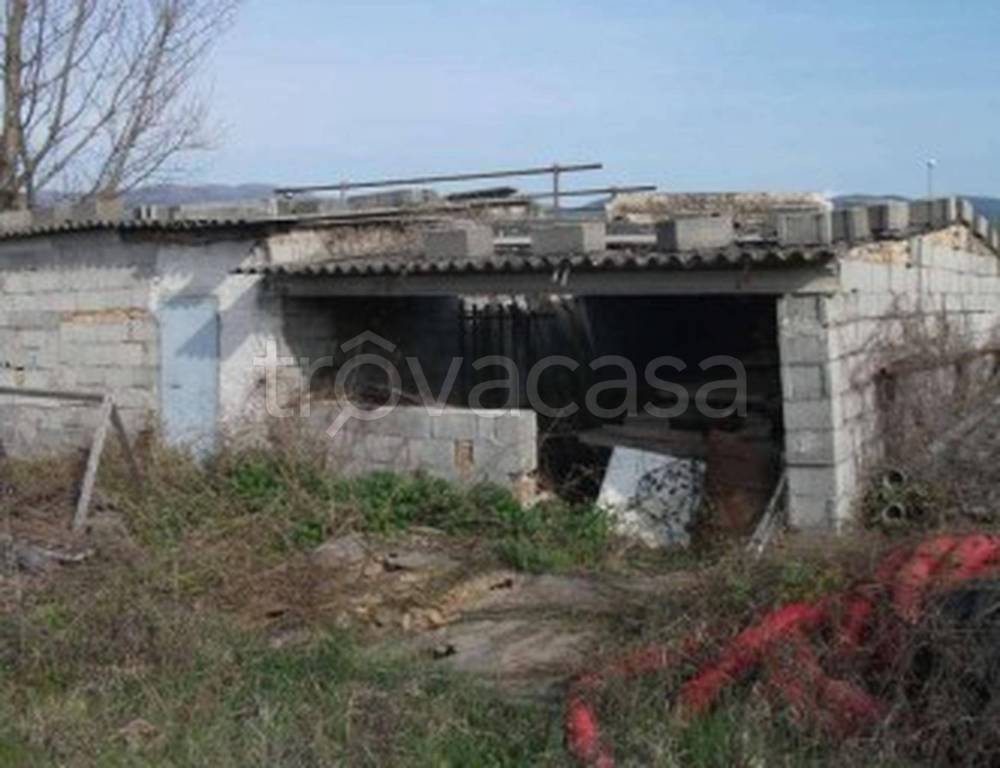 immagine annuncio 11 di 13