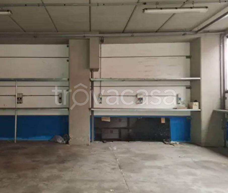 immagine annuncio 7 di 11