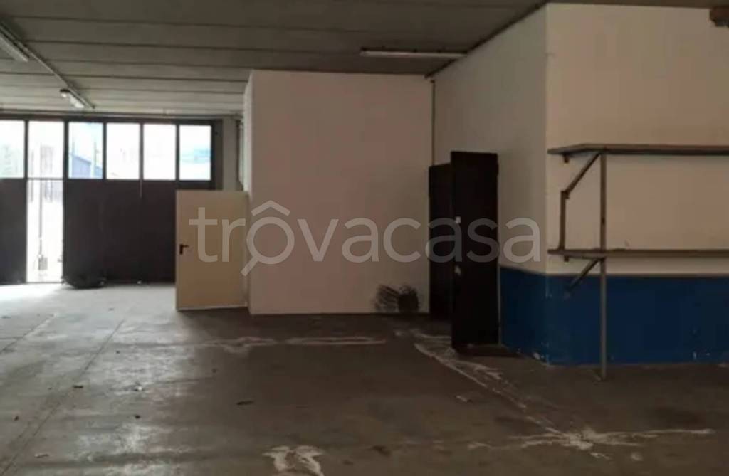 immagine annuncio 8 di 11