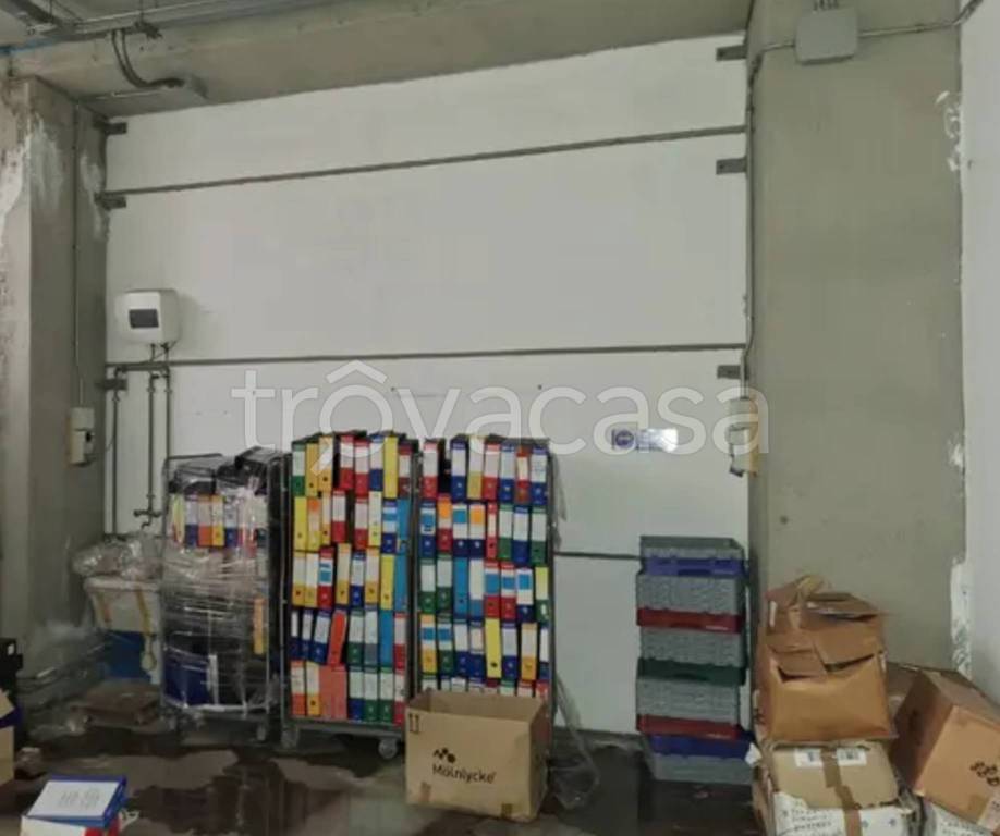 immagine annuncio 9 di 11