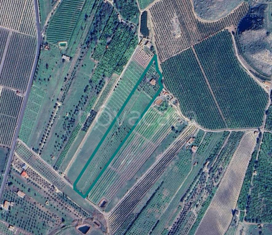 immagine annuncio 8 di 11