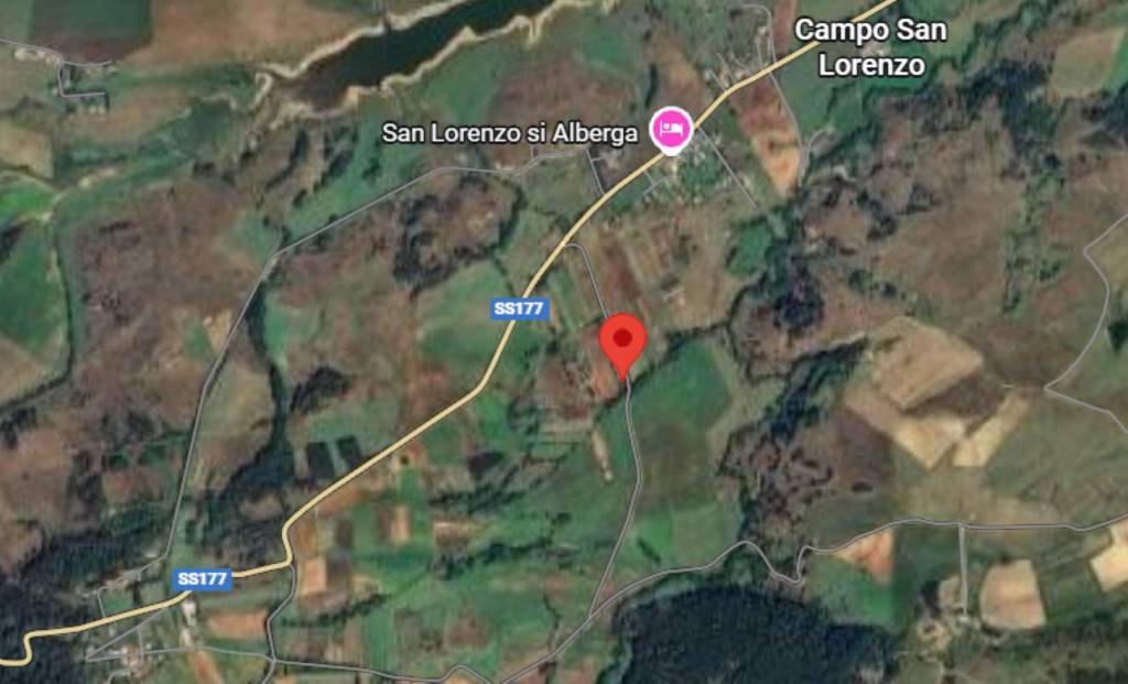 immagine annuncio 6 di 10