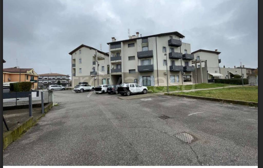 immagine annuncio 3 di 11