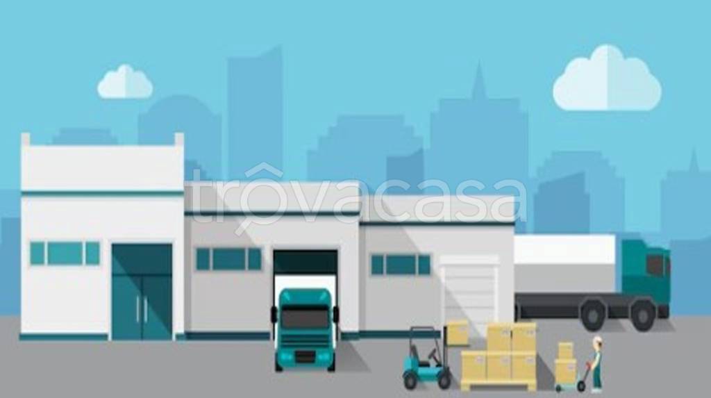 immagine annuncio 1 di 4