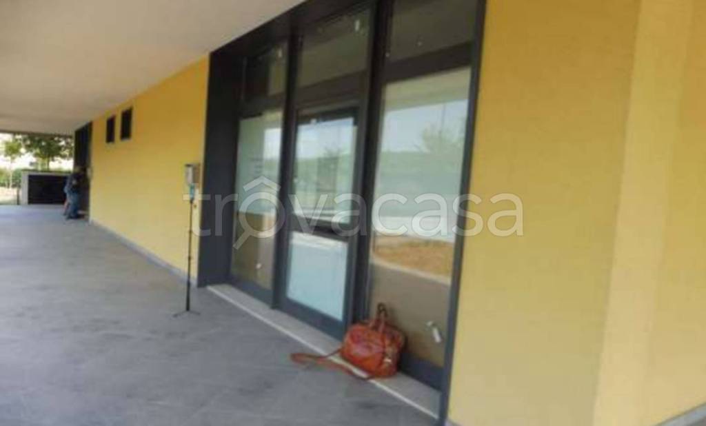 immagine annuncio 5 di 11